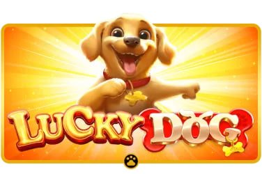 gameclubbd